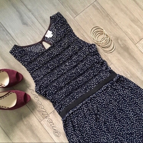 Anthropologie Dresses & Skirts - Anthro Postmark Swiss Dots Polka Dress Retro Swing